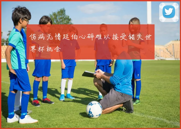 伤病无情廷伯心碎难以接受错失世界杯机会