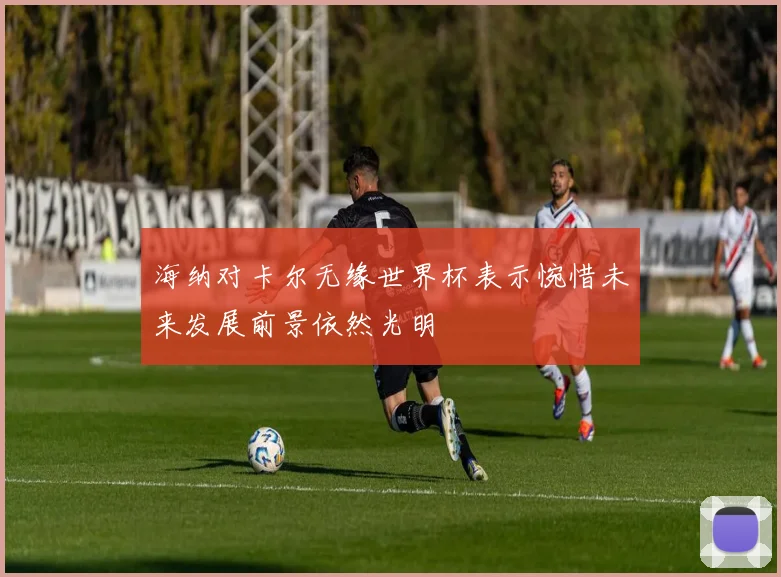 海纳对卡尔无缘世界杯表示惋惜未来发展前景依然光明