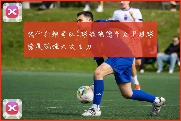 武什科维奇以6球领跑德甲后卫进球榜展现强大攻击力